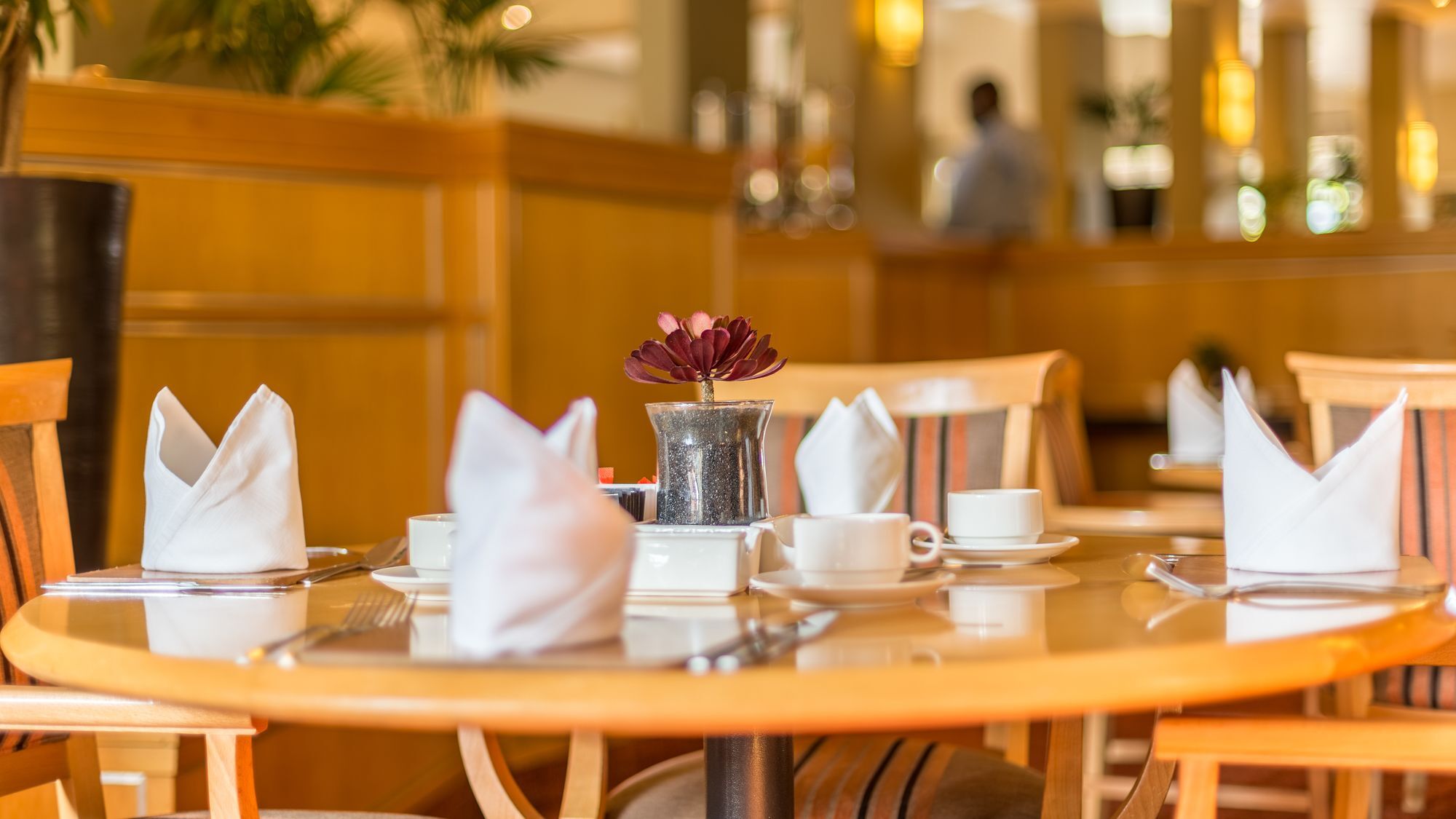 Town Lodge Menlo Park Преторія Екстер'єр фото